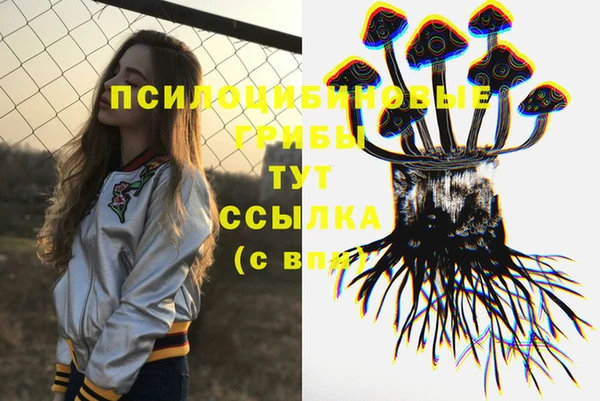 гашик Балахна