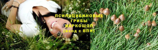 гашик Балахна