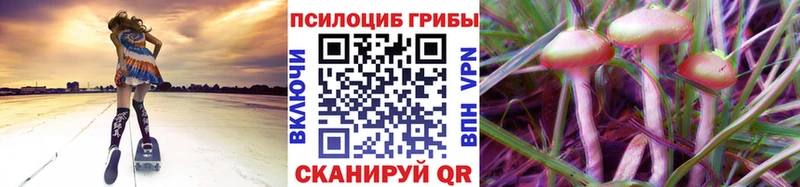 сайты даркнета телеграм  даркнет сайт  Невель  Псилоцибиновые грибы прущие грибы 
